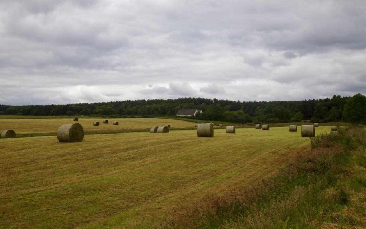 Clashmore Wood Dornoch Kültér fotó