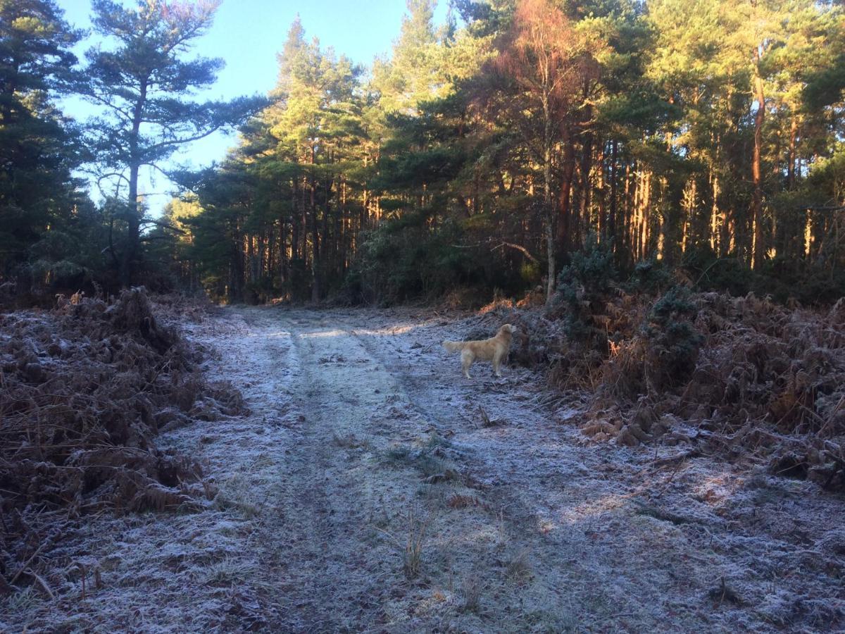 Clashmore Wood Dornoch Kültér fotó